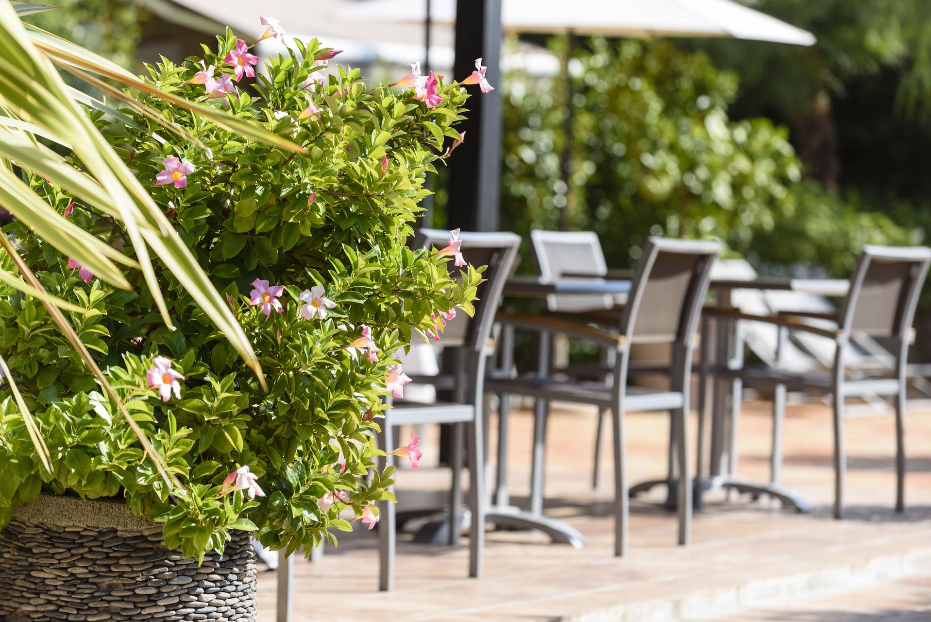 Hotel Domaine Du Calidianus Sainte-Maxime Exteriér fotografie
